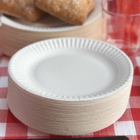 Assiettes jetables